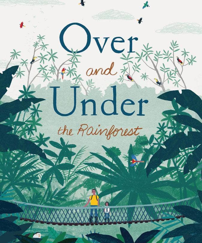 Over and Under the Rainforest - Après NJ