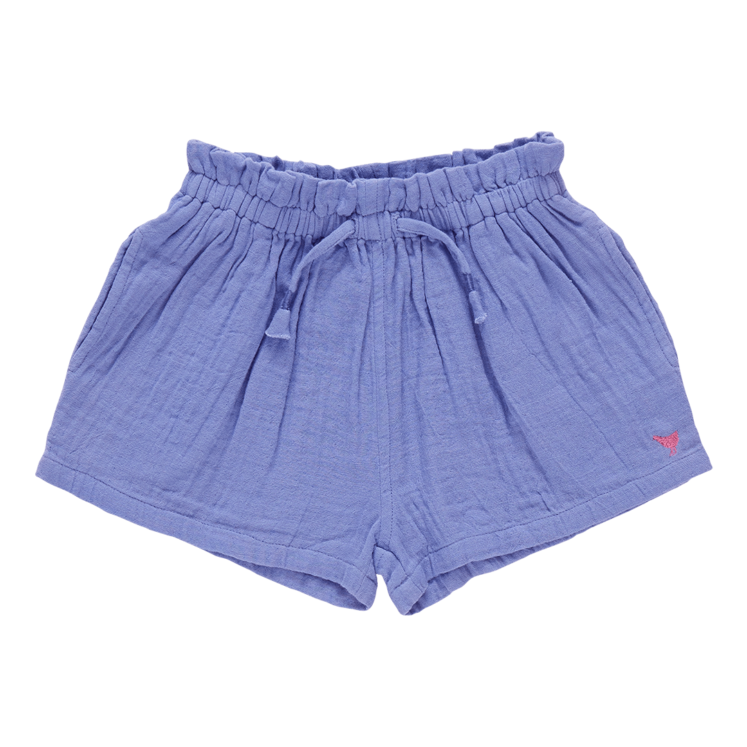 Theodore Shorts - Deep Periwinkle - Après NJ