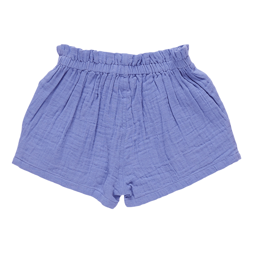 Theodore Shorts - Deep Periwinkle - Après NJ