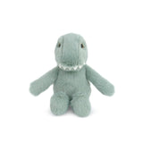 Tiny Dino Rattle - Après NJ