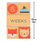 Wooden Baby Milestone Blocks - Après NJ