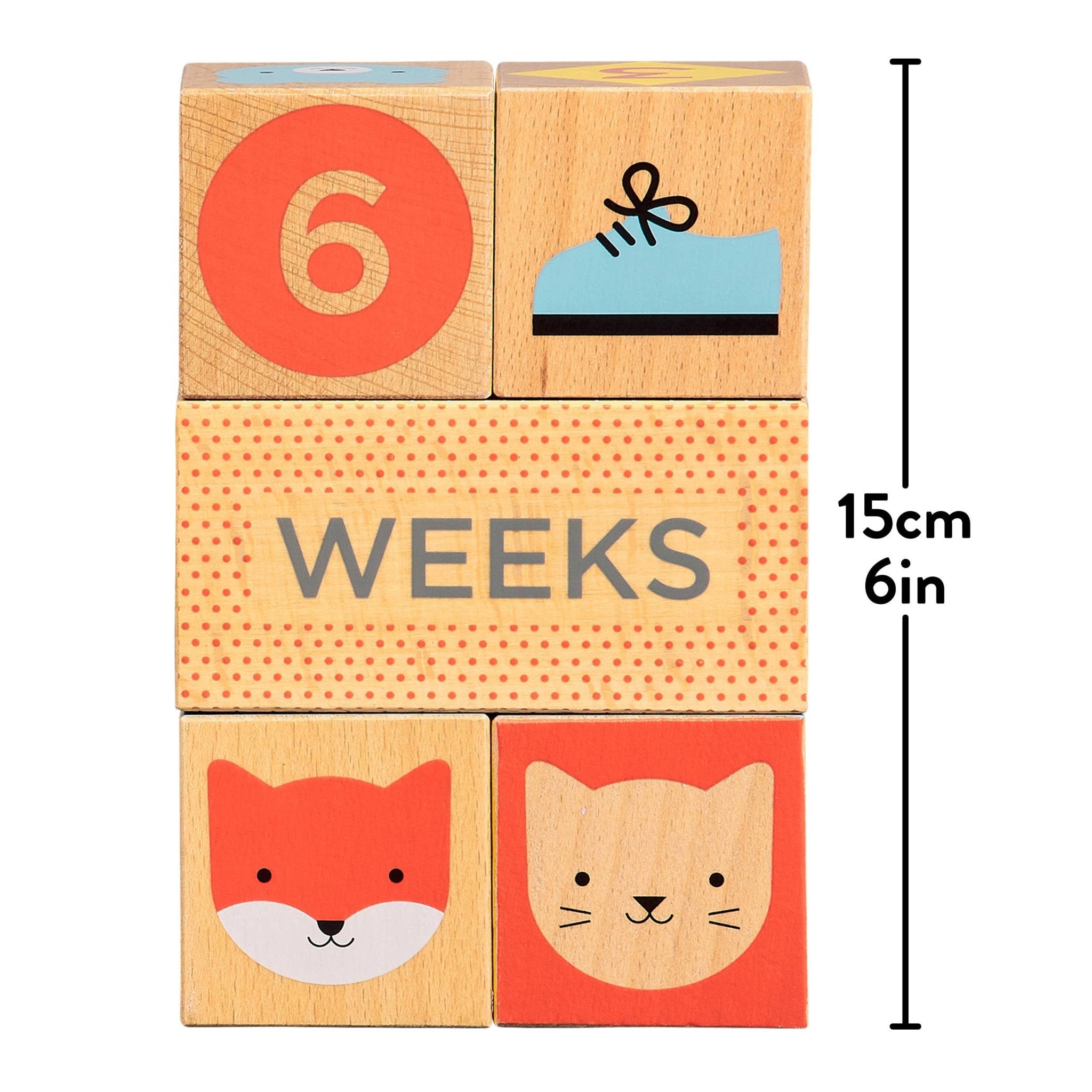 Wooden Baby Milestone Blocks - Après NJ