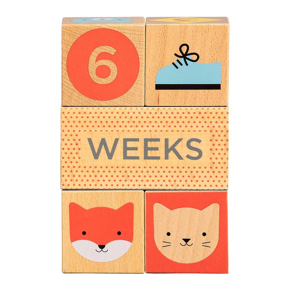 Wooden Baby Milestone Blocks - Après NJ