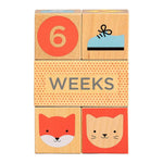 Wooden Baby Milestone Blocks - Après NJ